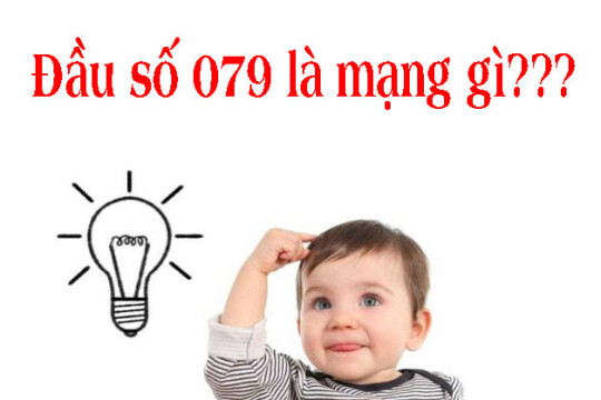 079 là mạng gì? Hướng dẫn mua SIM 079 mang ý nghĩa may mắn
