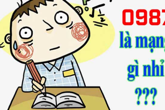 0987 là mạng gì? Sim số 0987 mang ý nghĩa gì hay không?