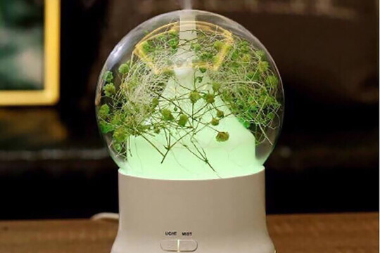 Review Top 5 máy xông tinh dầu cho gia đình thư giãn