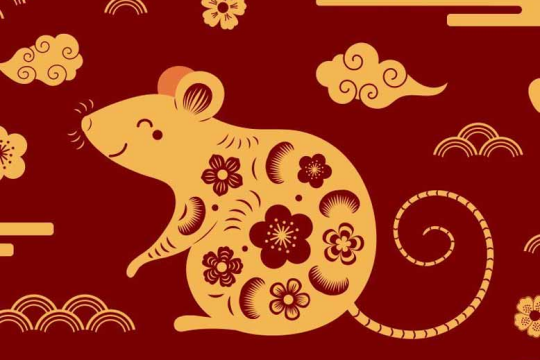 Giải đáp thắc mắc: năm 2020 là năm con gì? là mệnh gì?