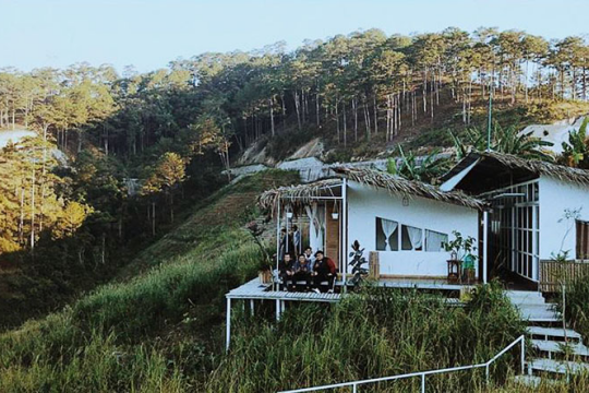 Top 5 Homestay Đà Lạt mang lại cảm giác bình yên như ngôi nhà thứ 2