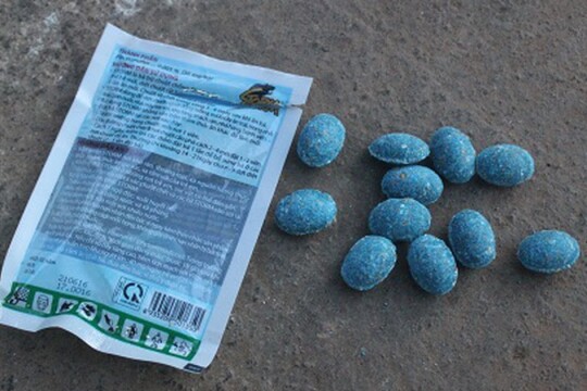 Bả chó là gì? Hướng dẫn cách xử trí khi thú cưng bị trúng bả