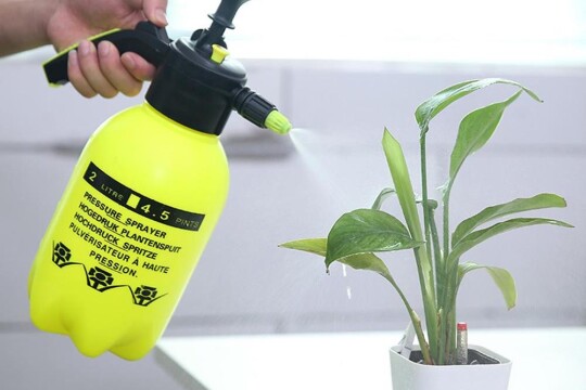 Review Top 5 bình tưới cây cảnh phù hợp dành cho gia đình