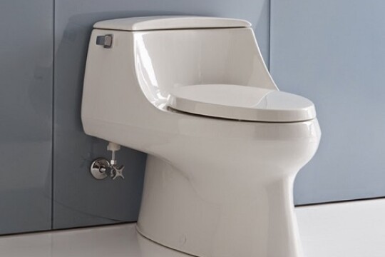 Bồn cầu trong tiếng Anh là gì? Có những loại bồn cầu nào trên thị trường?