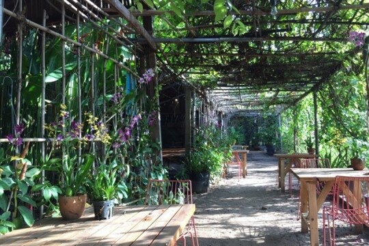 Review Top 5 quán cà phê quận 2 có view sống ảo cực đỉnh