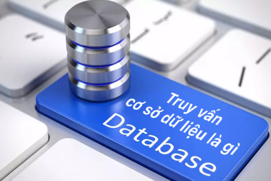 Truy vấn cơ sở dữ liệu là gì? Xây dựng cơ sở dữ liệu sao cho đúng?