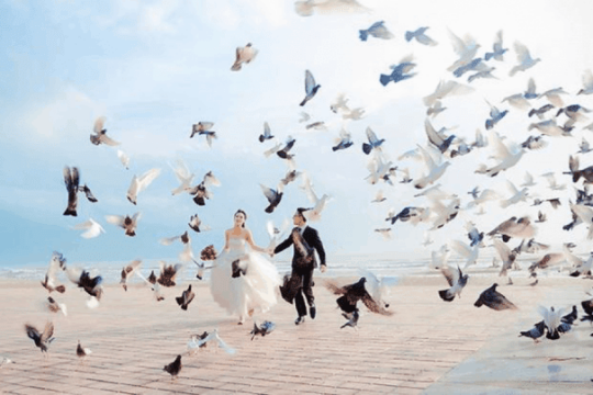 Review Top 5 những địa điểm chụp ảnh ở Đà Nẵng lãng mạn nhất