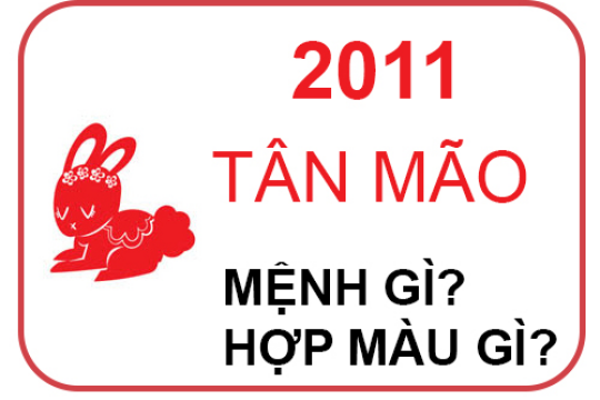 Năm 2011 là năm con gì? Người sinh năm 2011 cần tránh điều gì?