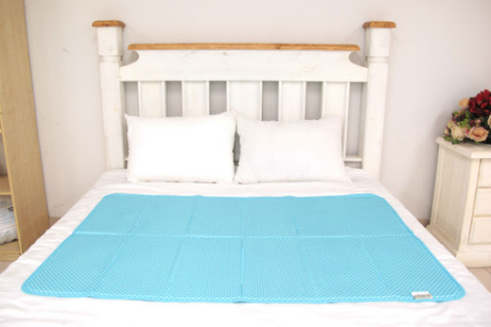 Review Top 5 đệm nước được ưa chuộng hiện nay tại các hộ gia đình.