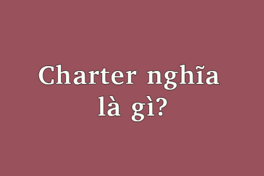 Charter là gì? Charter được dùng trong những lĩnh vực nào trong đời sống?