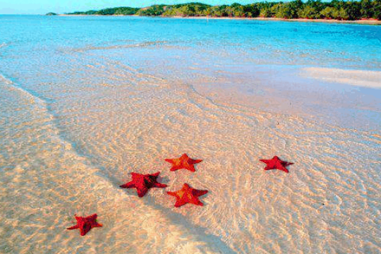 Review Top 5 địa điểm du lịch Phú Quốc được mọi người yêu thích.