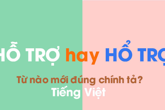 Hổ trợ hay hỗ trợ? Từ nào mới đúng chính tả Tiếng Việt