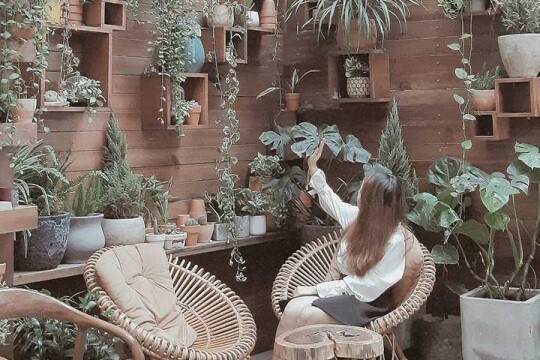 Review Top 5 quán cafe quận 3 vô cùng yên tĩnh cũng góc sống ảo cực chất lượng