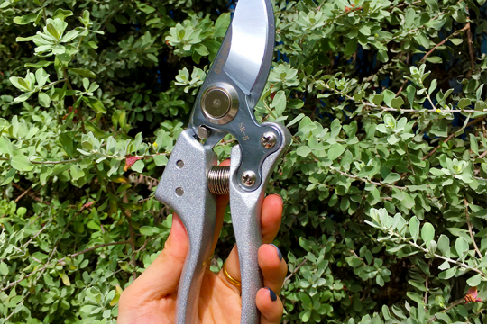 Review top 5 kéo cắt cành nhạy bén, dễ sử dụng nhất hiện nay