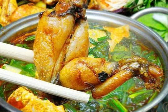 Review Top 5 quán lẩu ếch Hà Nội rẻ và thịt ếch thơm ngon