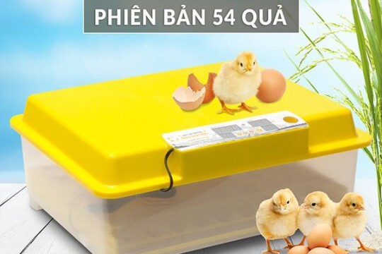 Review Top 5 máy ấp trứng mini- tăng năng suất, giảm chi phí