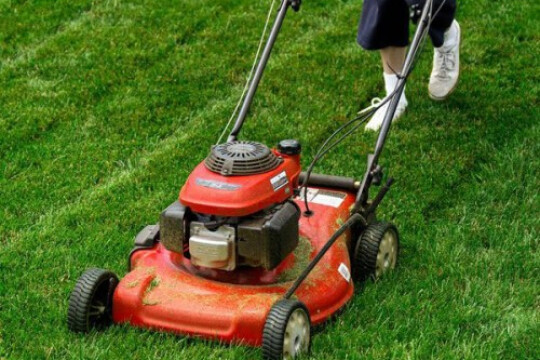 Review Top 5 sản phẩm máy phát cỏ sắc bén, dễ sử dụng