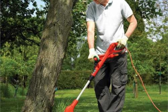 Review Top 5 máy cắt cỏ chạy điện thiết kế thông minh, hiện đại và mạnh mẽ nhất