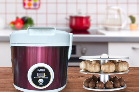 Review Top 5 máy làm tỏi đen chất lượng tốt nhất hiện nay