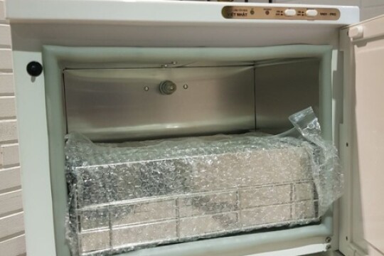 Review Top 5 máy làm tỏi đen công nghiệp chất lượng cao, đảm bảo được hiệu suất lớn