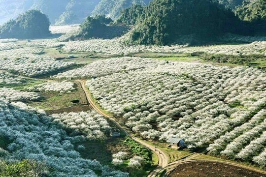 Review Top 5 địa điểm du lịch gần Hà Nội gây sốt giới trẻ hiện nay