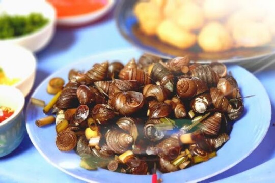 Review Top 5 quán ốc ngon quận 1 được giới trẻ yêu thích