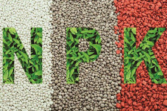 NPK 20 20 15 là gì? Sử dụng loại phân bón thế nào để đạt hiệu quả cao