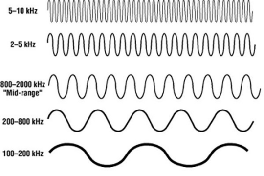 Bassist là gì? Tìm hiểu về âm Bass trong âm nhạc
