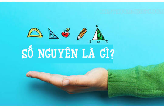 Số nguyên là gì? Trong toán học còn có những tập hợp số cơ bản nào?