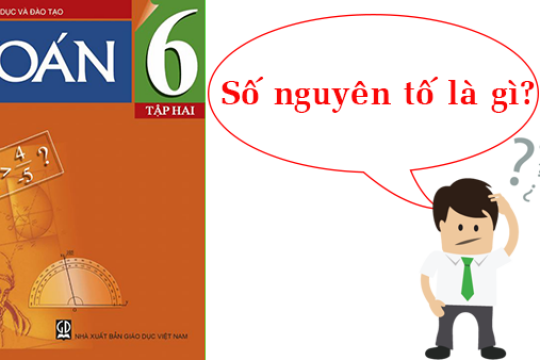 Số nguyên tố là gì? Đặc trưng của số nguyên tố như thế nào?