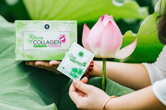 Review top 5 sản phẩm diệp lục collagen được các chị em tin dùng