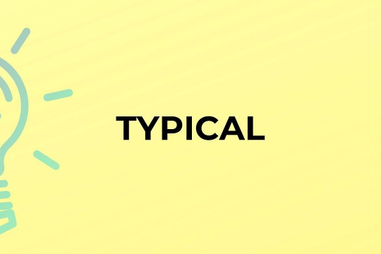 Typical là gì? Các từ gần nghĩa với typical trong tiếng Việt