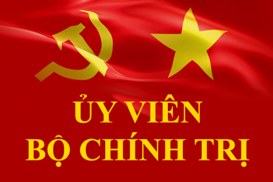 Ủy viên Bộ Chính trị là gì? Có yêu cầu nào về phẩm chất năng lực hay không?