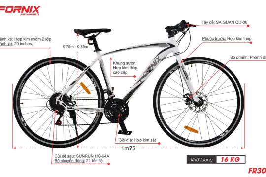 Review Top 5 xe đạp thể thao giúp bạn rèn luyện cơ thể tốt nhất